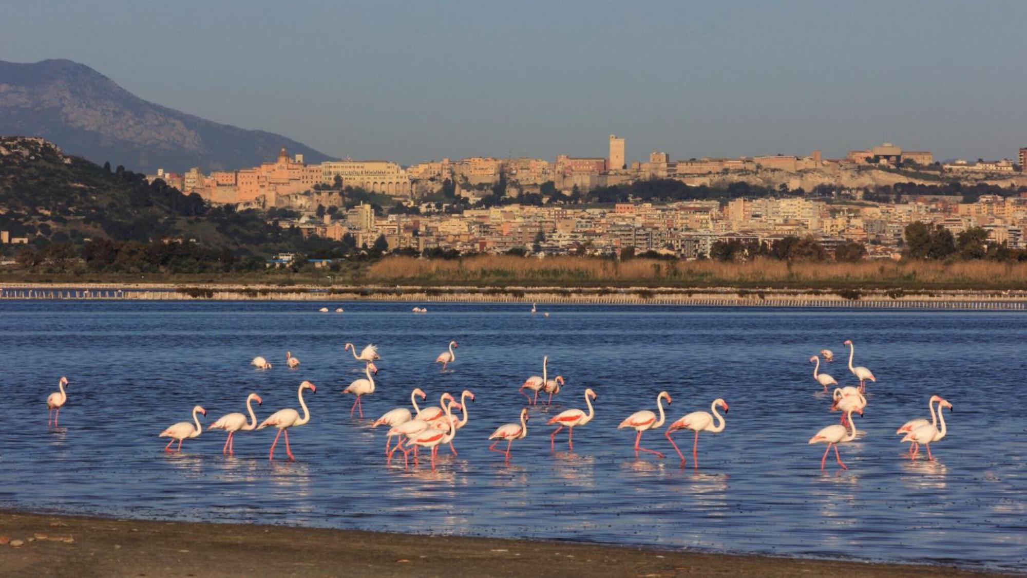 Mari'Entu Appartement Quartu SantʼElena Buitenkant foto
